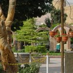 پارک خاقانی در شهر تبریز